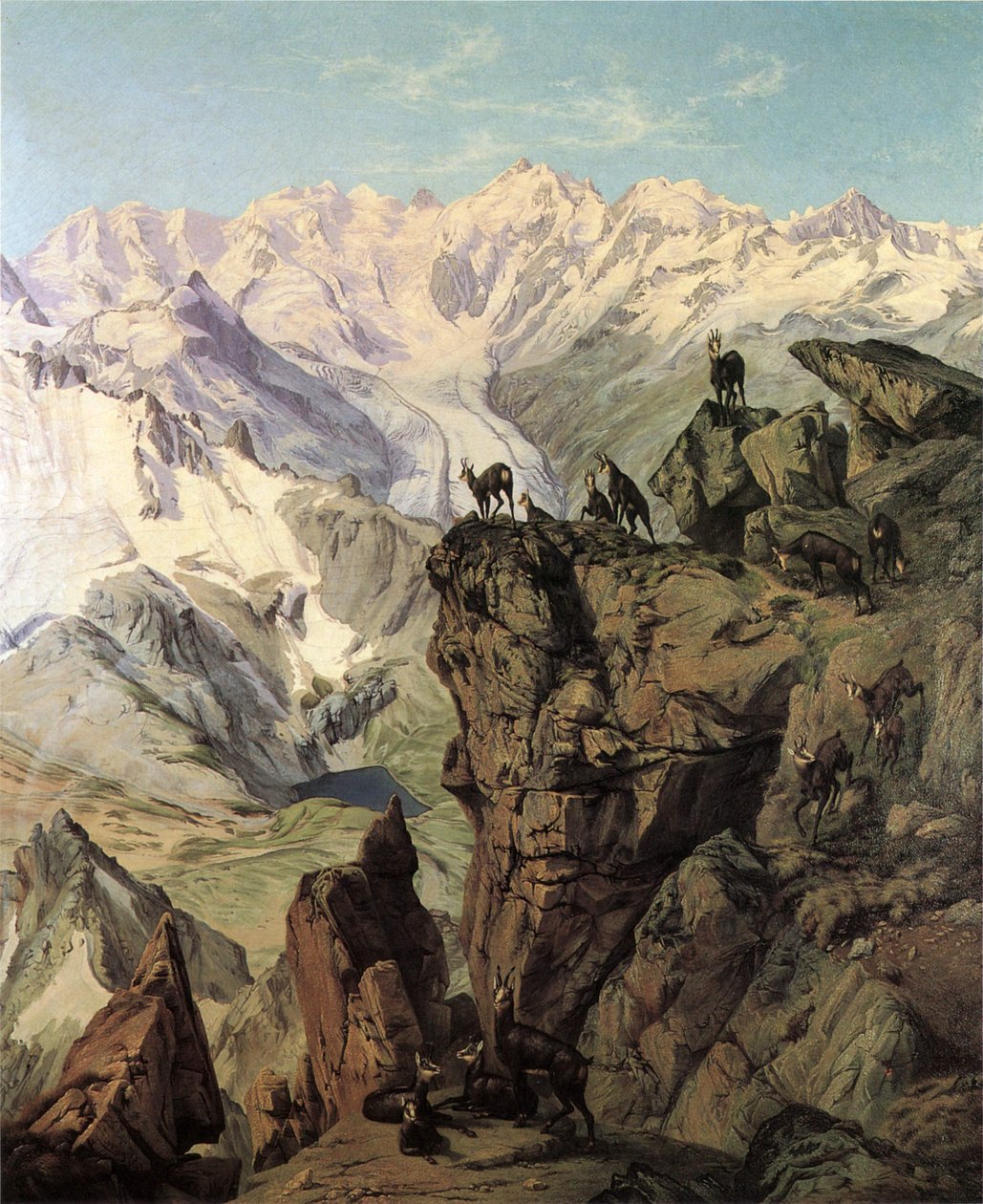 Georgy Bernina gruppe med gemser av Wilhelm Georgy