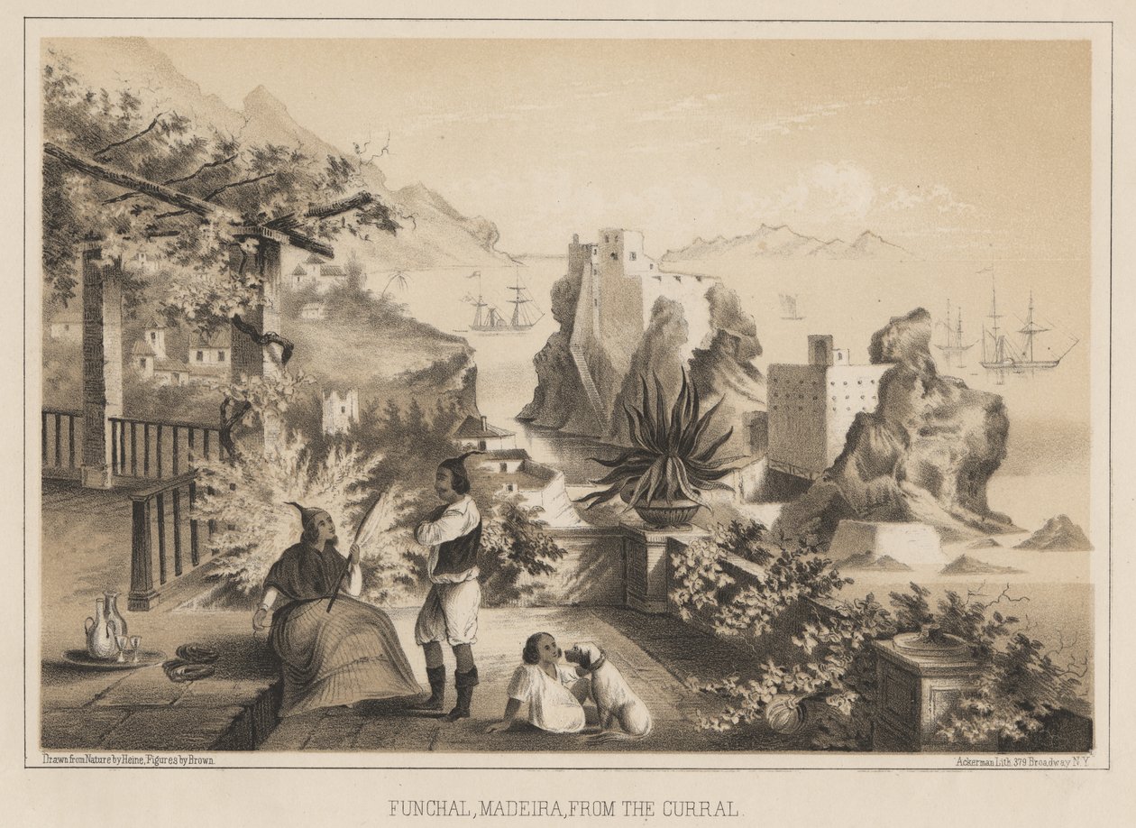 Funchal, Madeira, fra innhegningen, 1885 av Wilhelm Joseph Heine