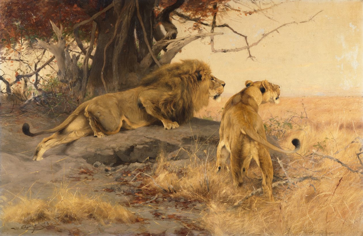 En løve og en løvinne i savannen av Wilhelm Kuhnert