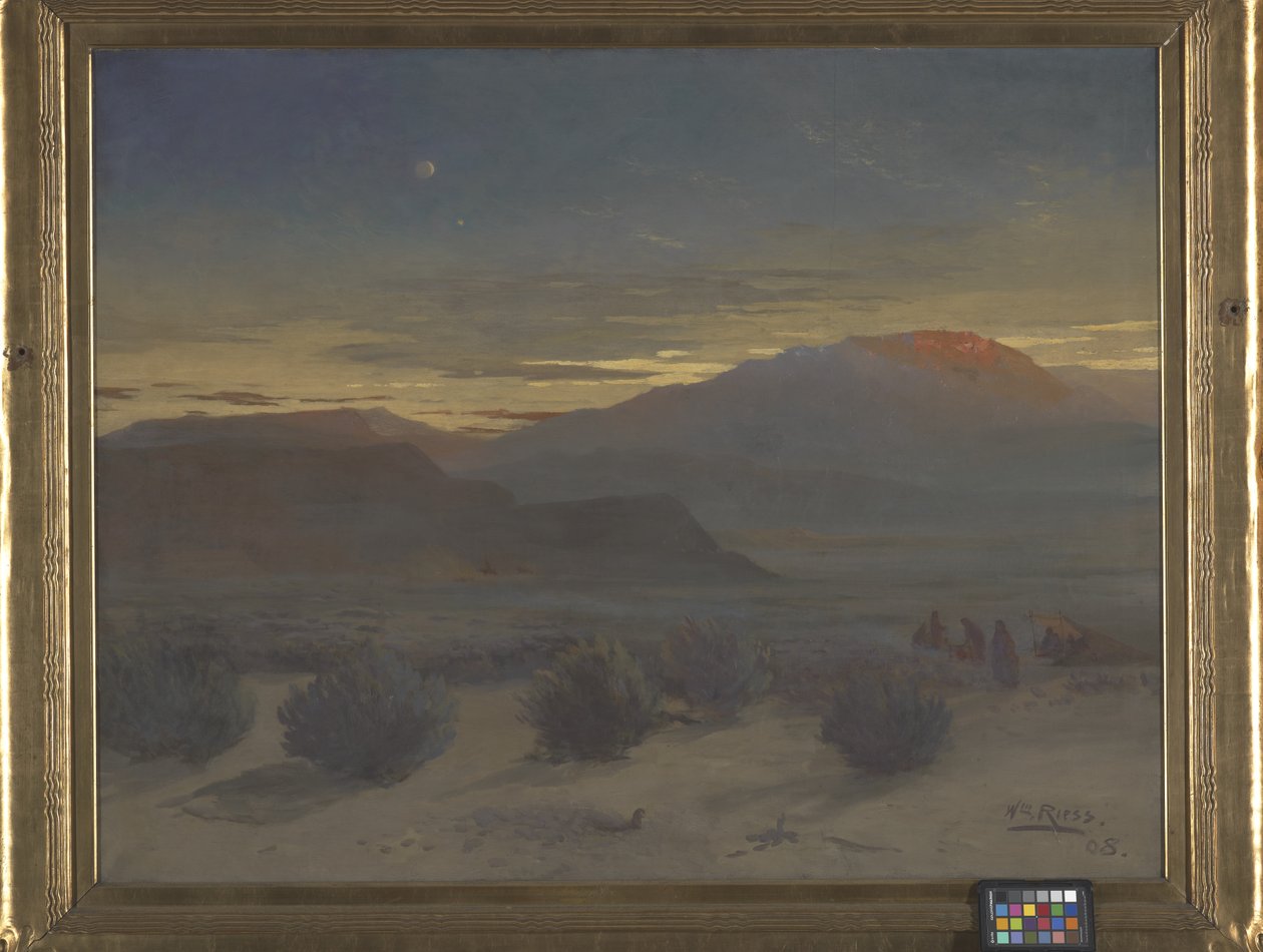 Wyoming-ørkenen av Wilhelm Riess