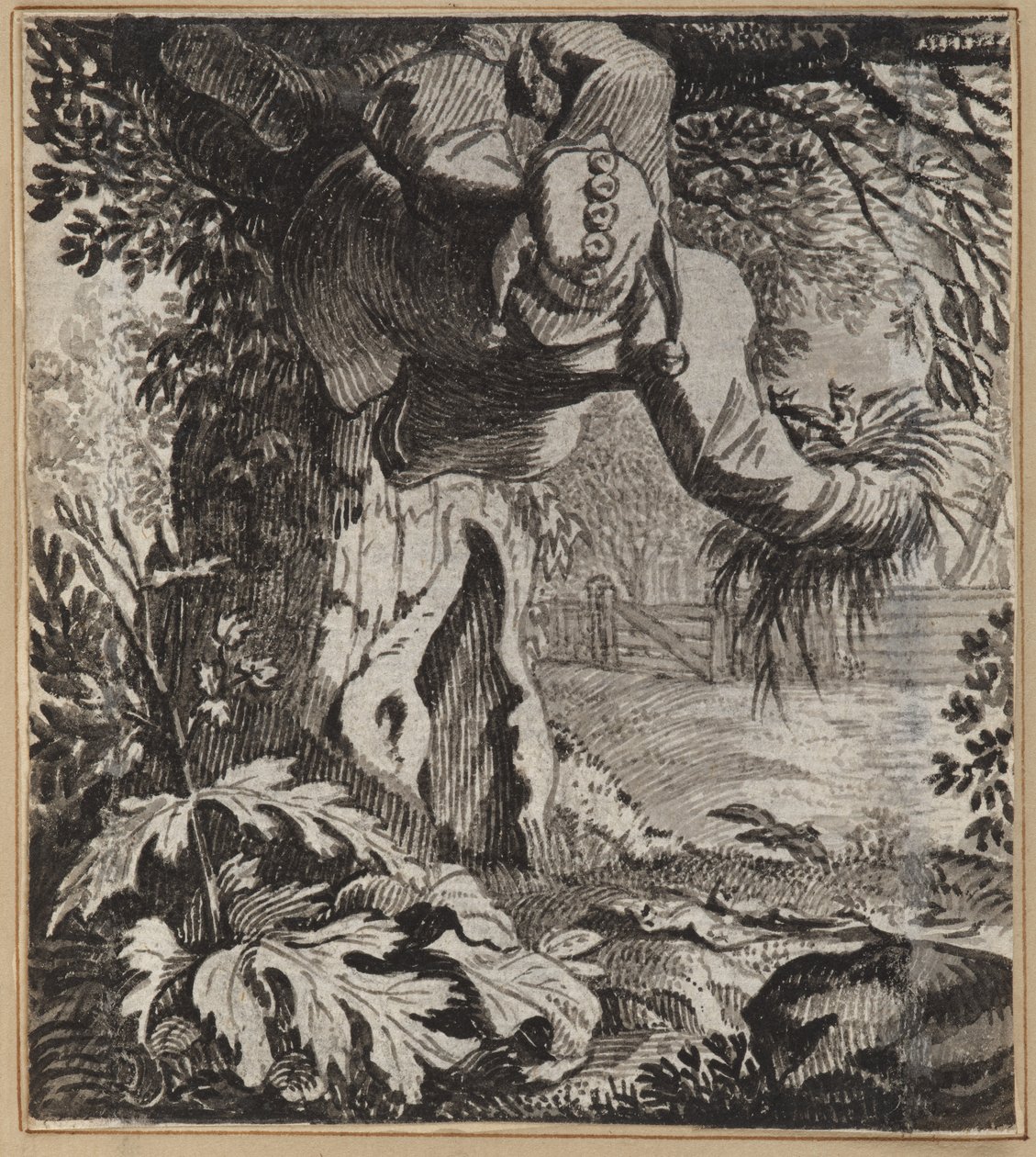 Den dristige narren av Wilhelm Stettler