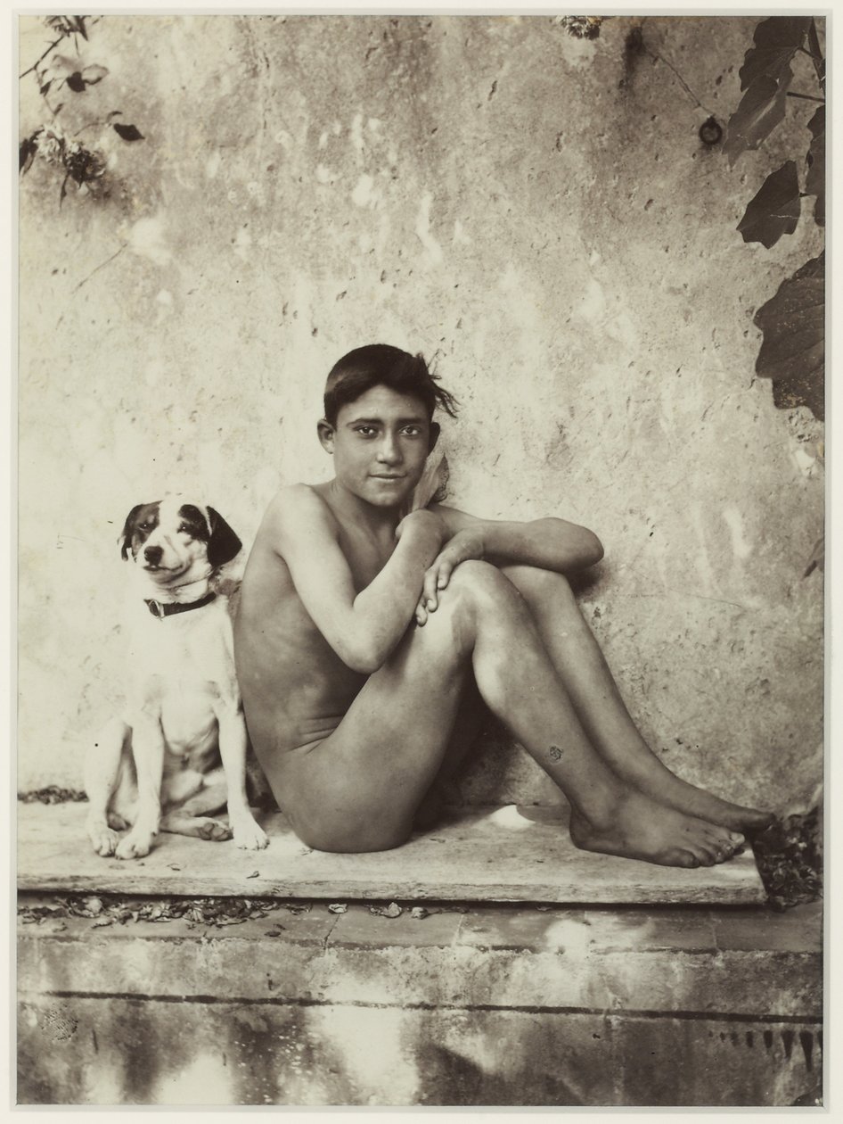 Boy and His Dog, Taormina, Italia, ca. 1900 (albumintrykk) av Baron Wilhelm von Gloeden