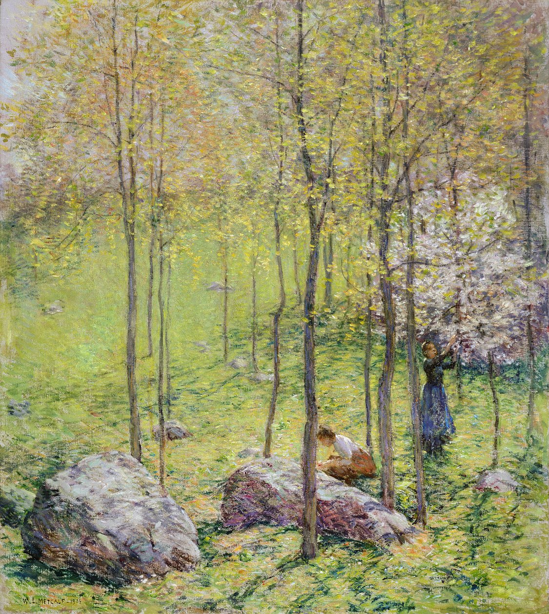 Dogwood Blossoms, 1906 av Willard Leroy Metcalf