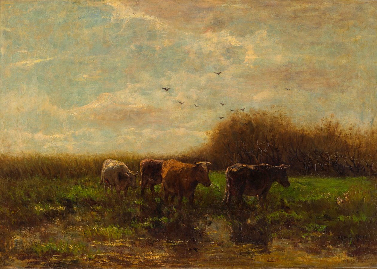 Kyr om kvelden av Willem Maris