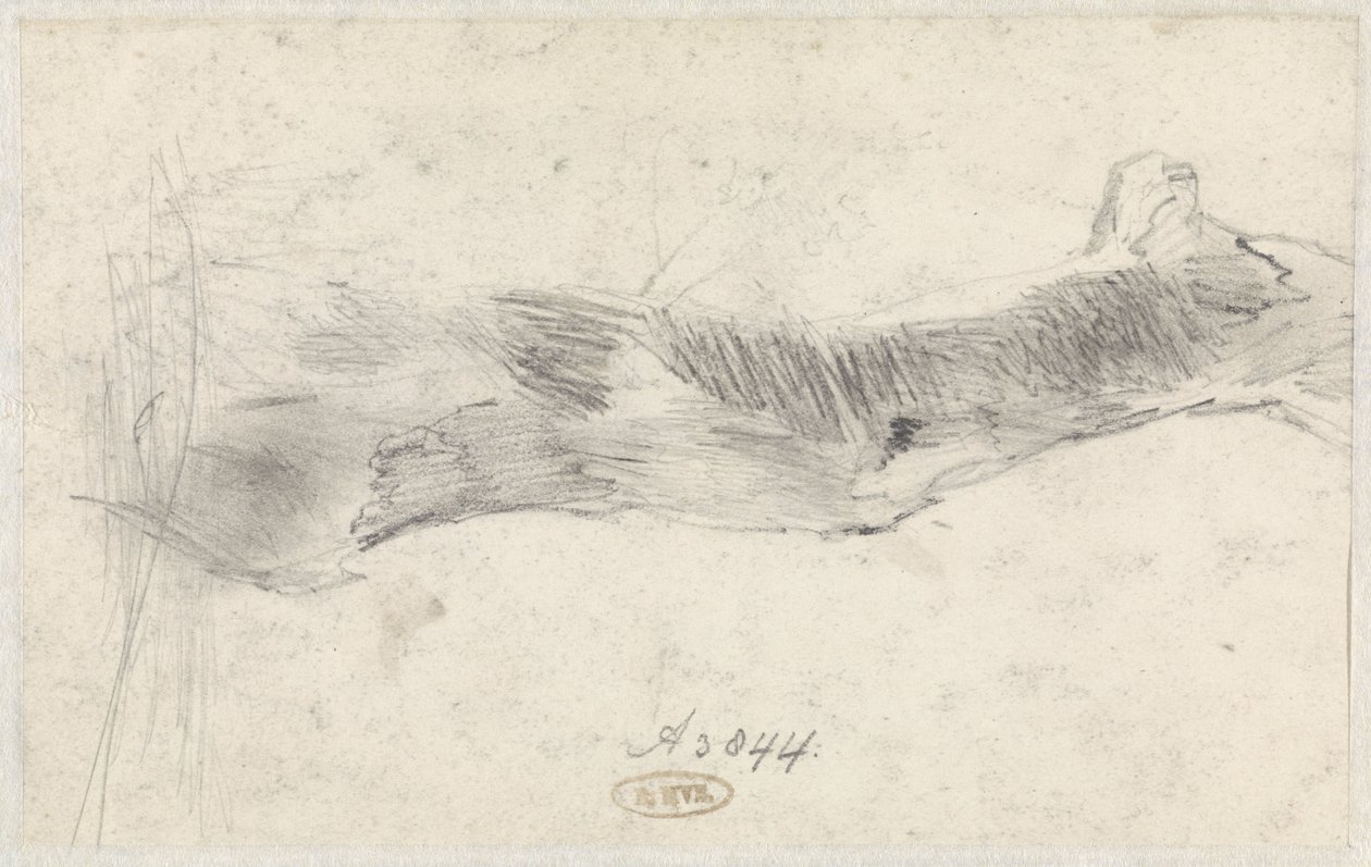 Studie av et tre av Willem Anthonie van Deventer