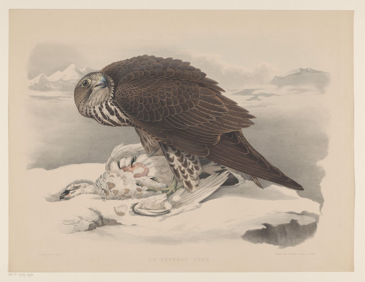 Gyrfalk med rype Le gerfaut sors (tittel på objekt) av Willem Bastiaan van Wouw