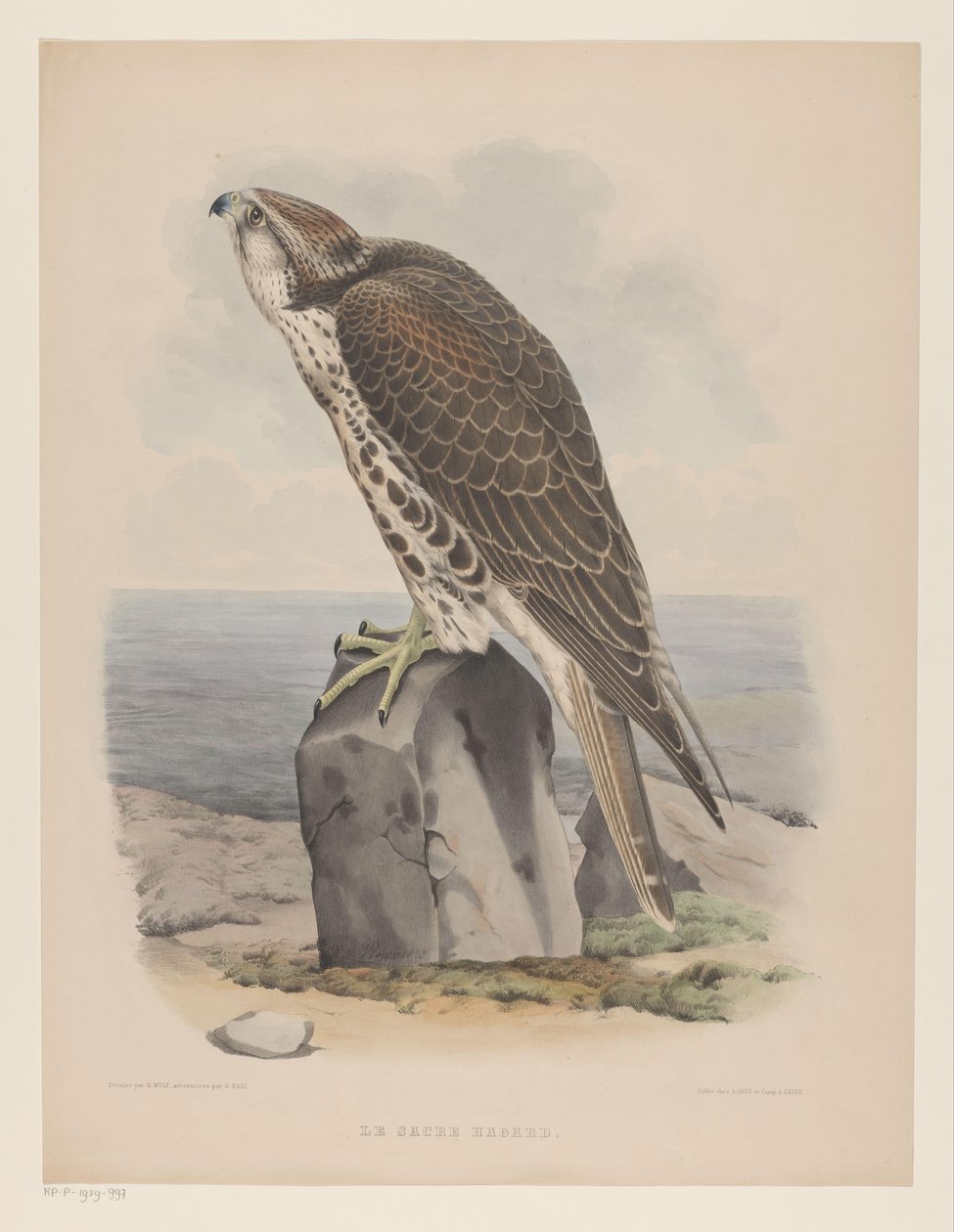 Valk The Sacred Haggard (tittel på objekt) av Willem Bastiaan van Wouw