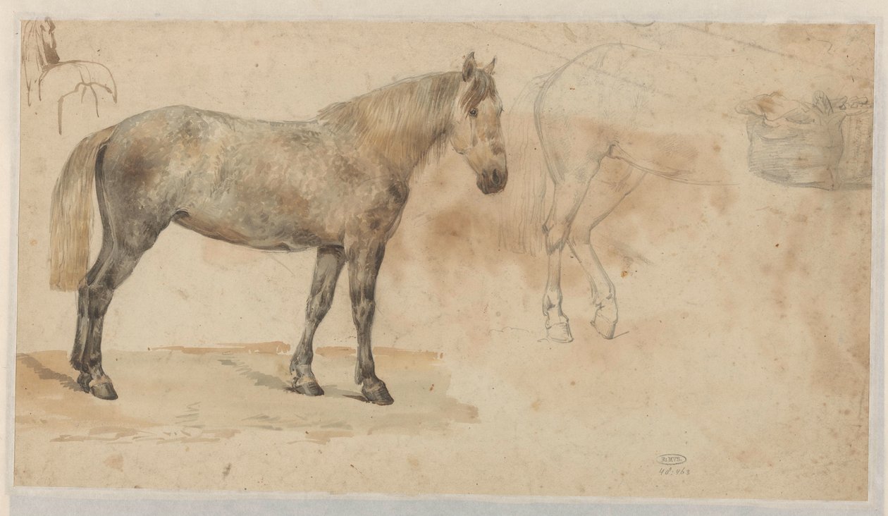 Studier av en hest av Willem Carel Nakken