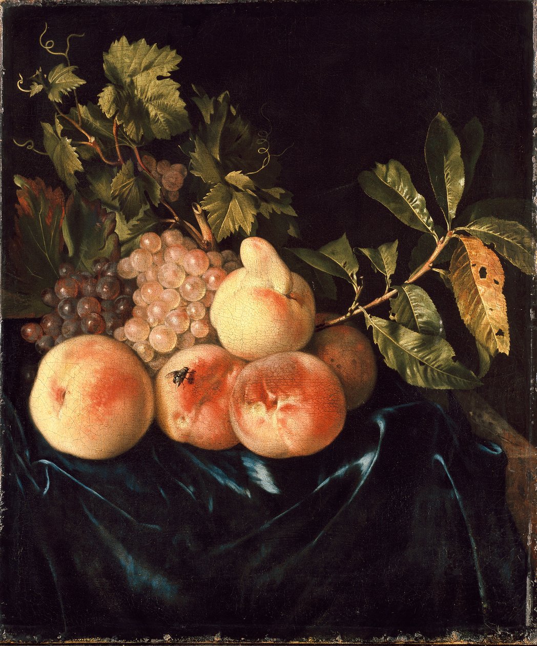 Stilleben av fersken og druer, 1705 av Willem Frederiksz van Royen