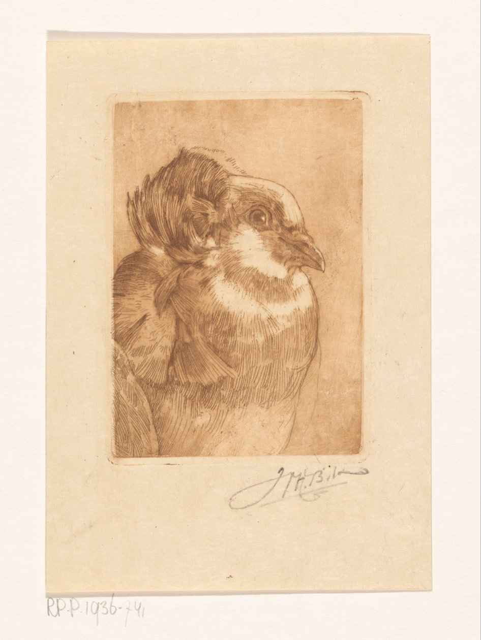 Studie av en due av Willem Hendrik Bik (signed by artist)