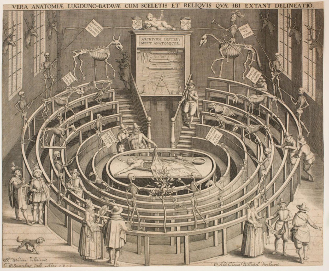 Hall til det anatomiske teateret i Leyden av Willem Isaaksz Swanenburgh