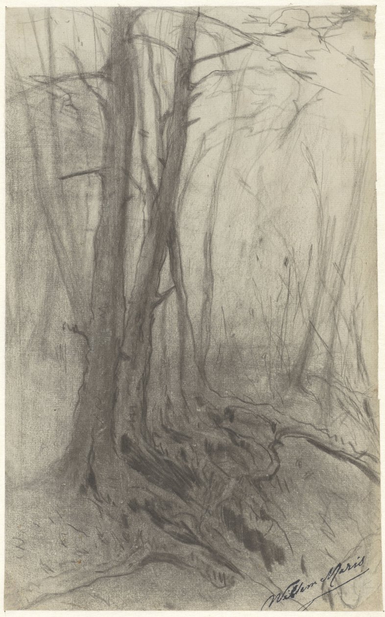 Trær i en skog av Willem Maris