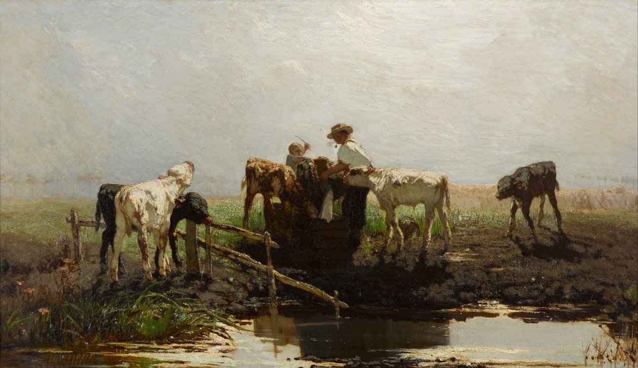 Kalver ved et trau av Willem Maris