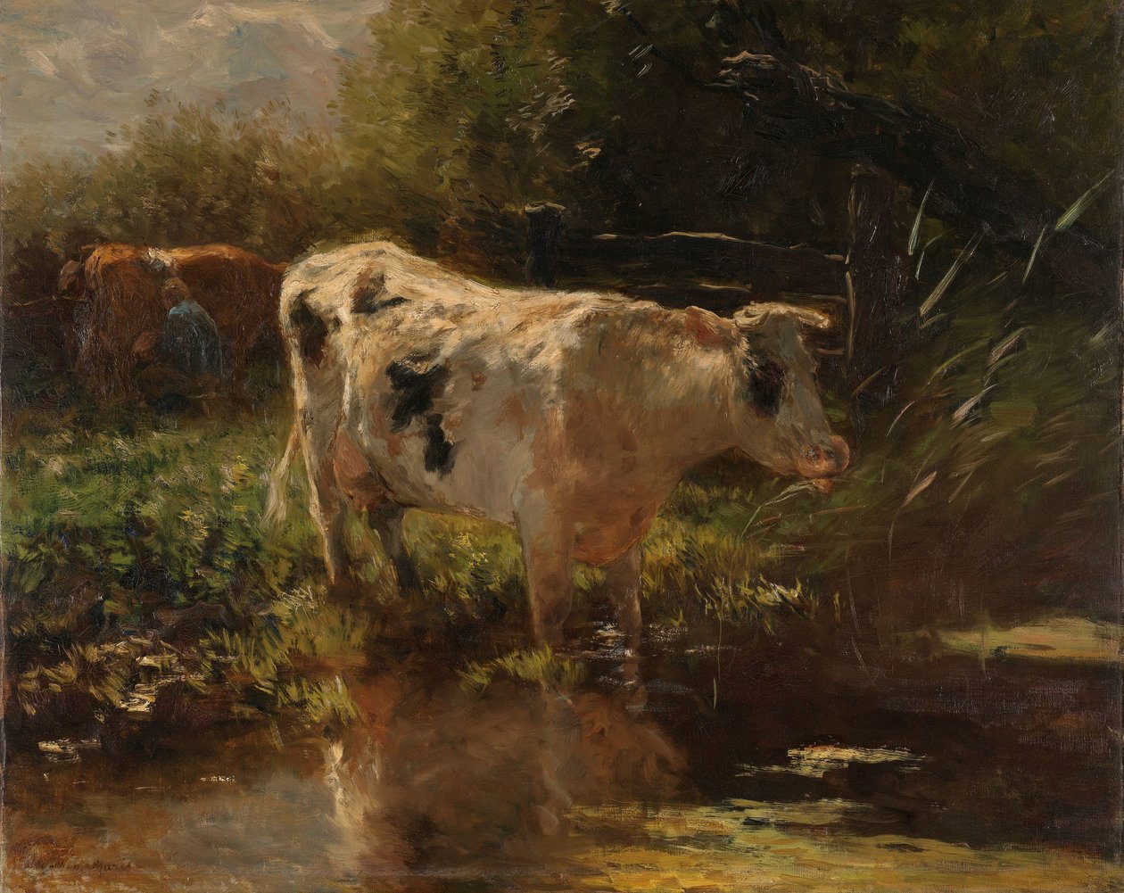 Ku ved siden av en grøft Ku på grøftesiden av Willem Maris