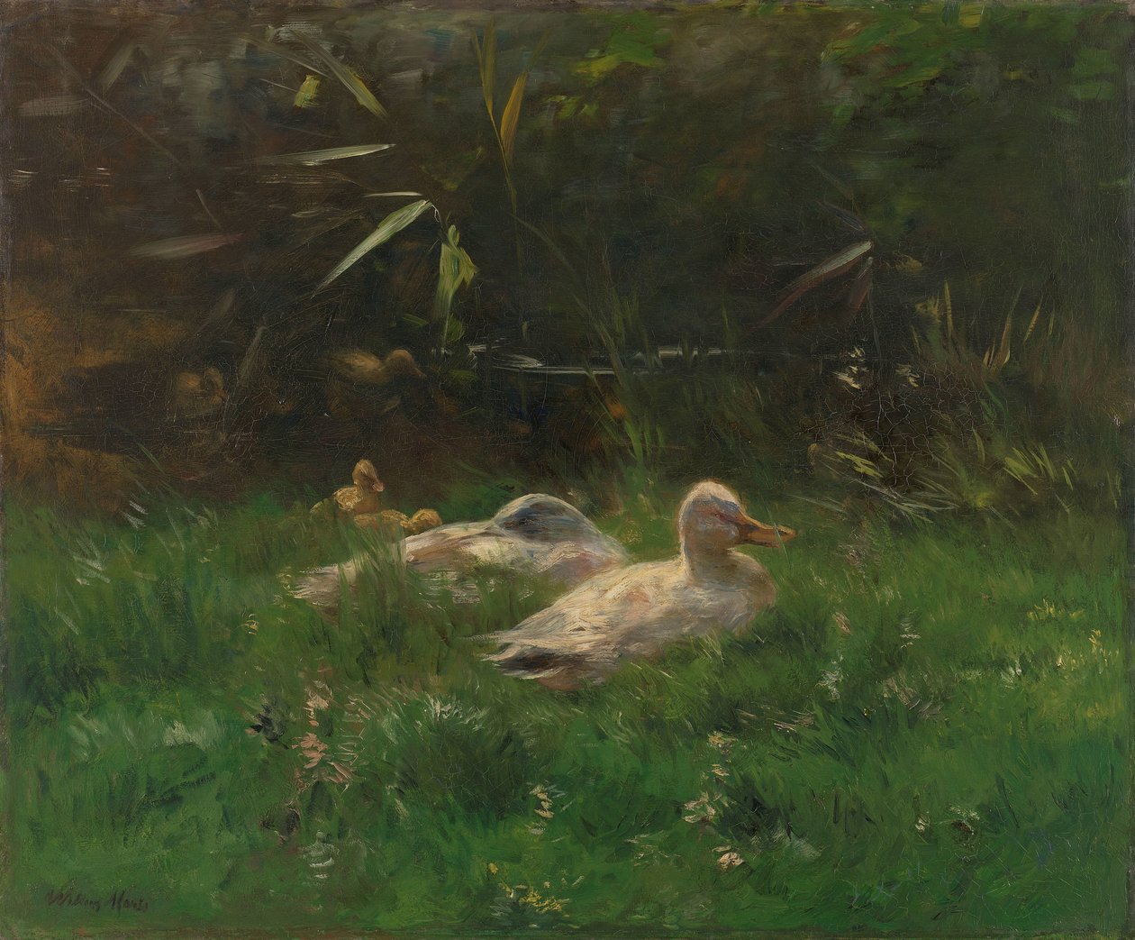 ender av Willem Maris