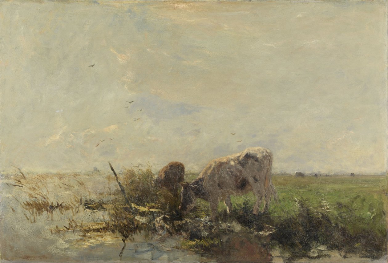 Kyr på en sølepytt av Willem Maris