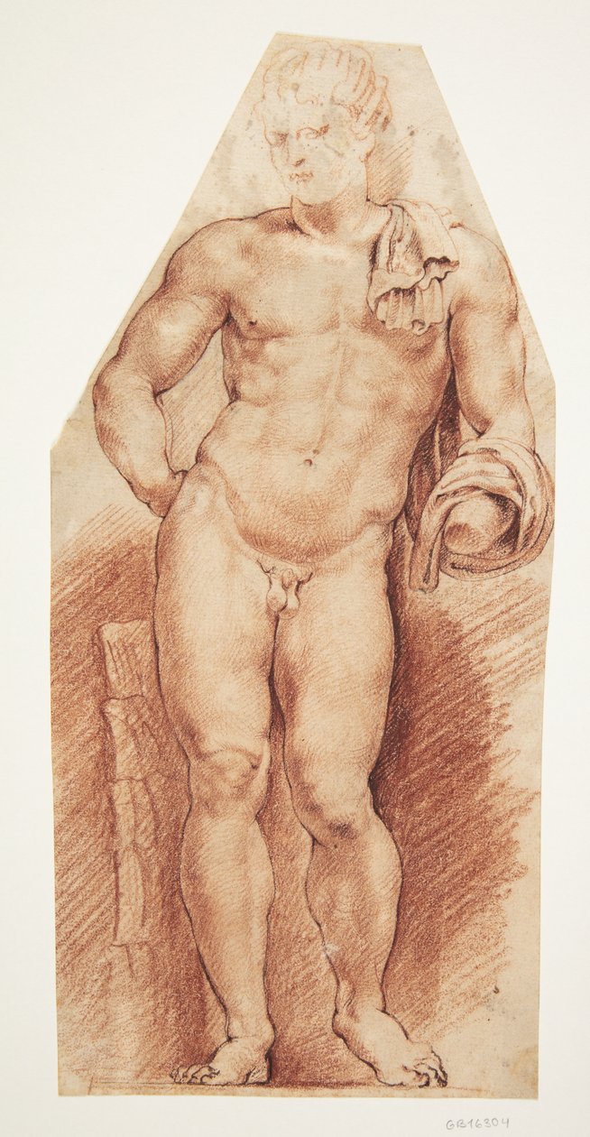 Den antikke skulpturen 'Belvedere Antinous', sett forfra av Willem Panneels