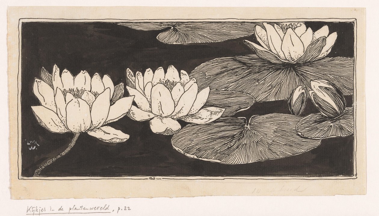 vannliljer av Ludwig Willem Reymert Wenckebach