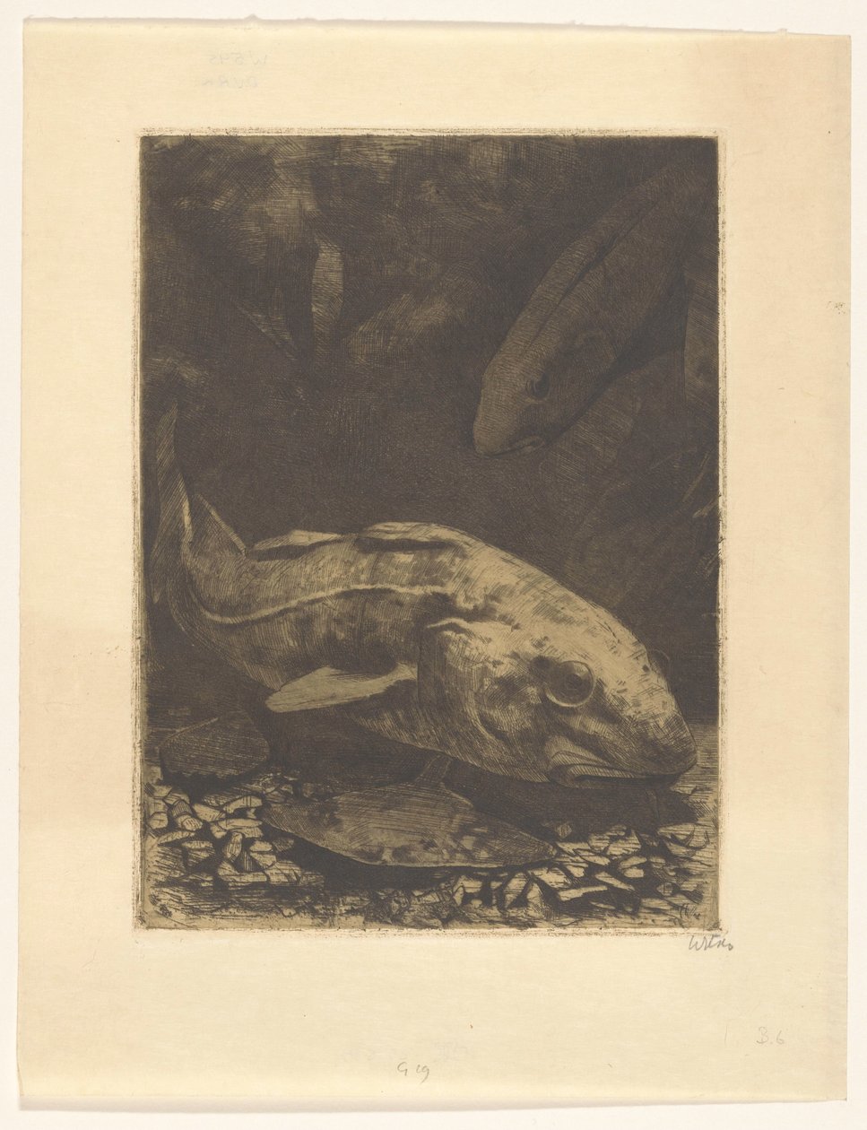Fisk og vannplanter av Willem Witsen (signed by artist)