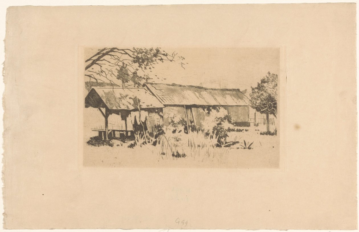 Uthus i naturen på Java av Willem Arnoldus Witsen