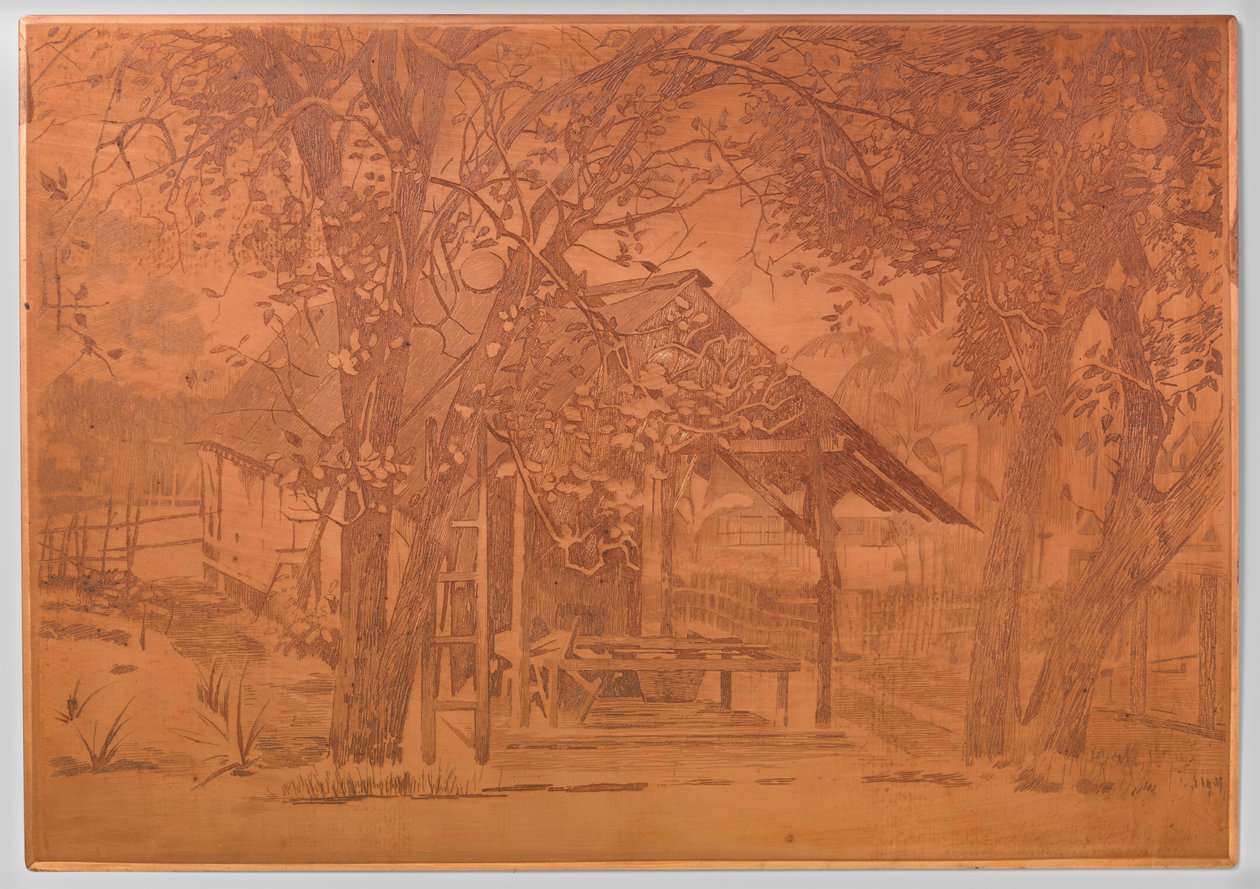 Uthus, Gambar av Willem Arnoldus Witsen