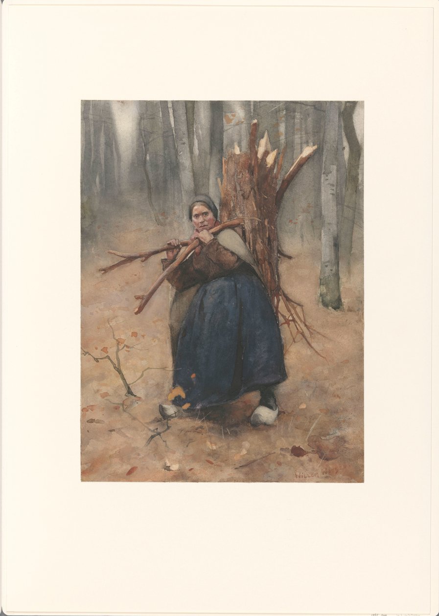 Vedsamler av Willem Arnoldus Witsen