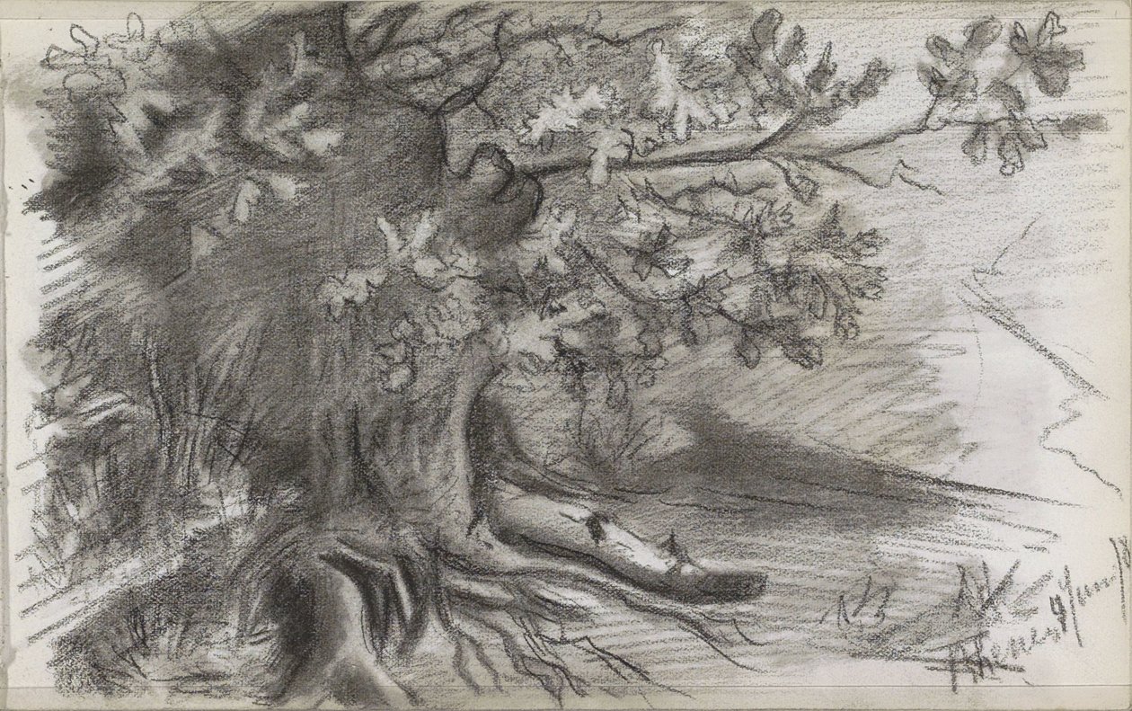 Landskap med et stort tre i Rhenen av Willem Arnoldus Witsen