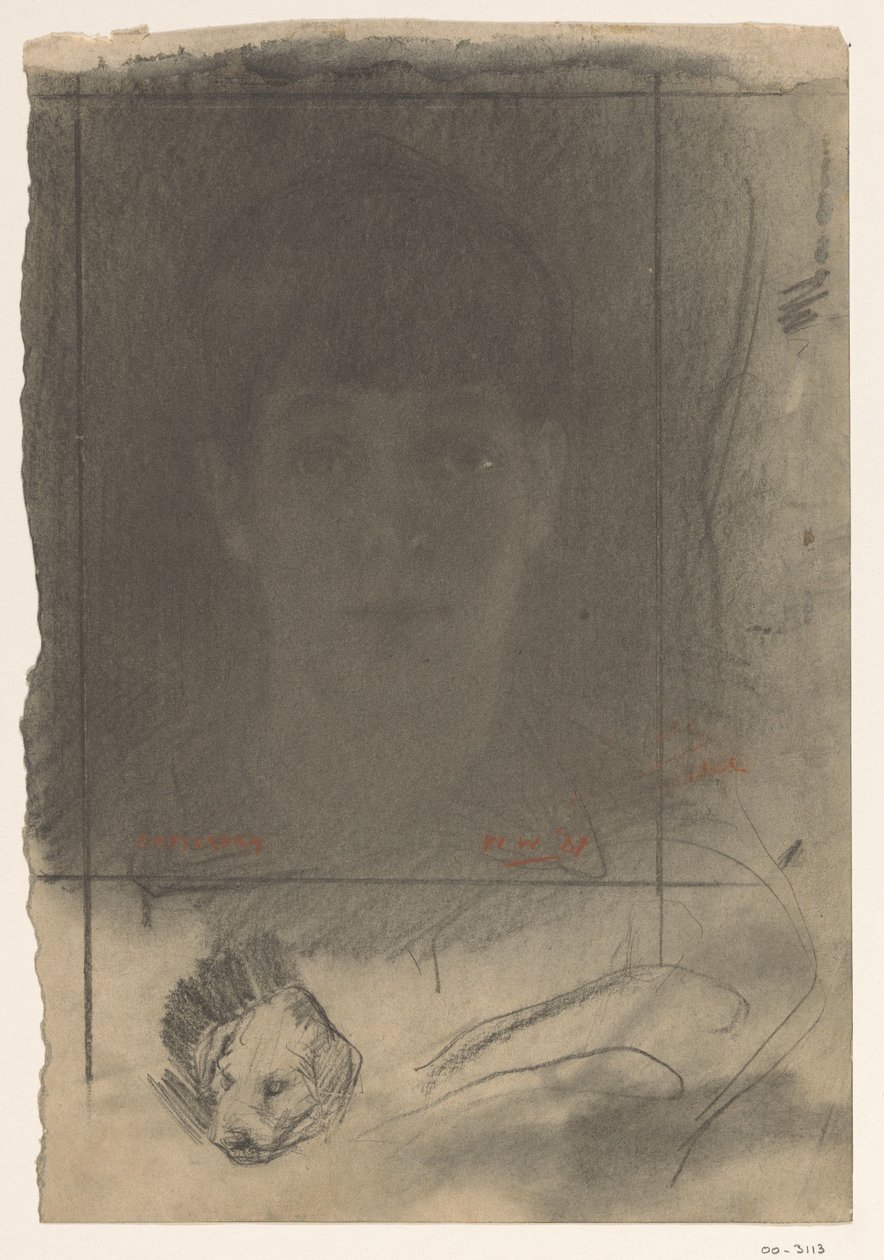 Portrett, ett ansikt av Willem Arnoldus Witsen