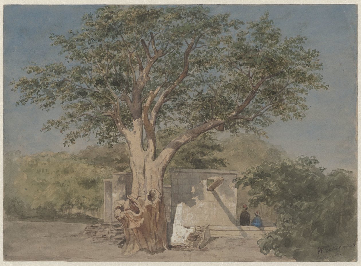 Hytte under et tre i Kairo av Willem de Famars Testas