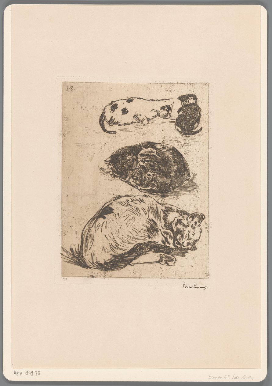 Studie av katter (original tittel) av Willem de Zwart (signed by artist)