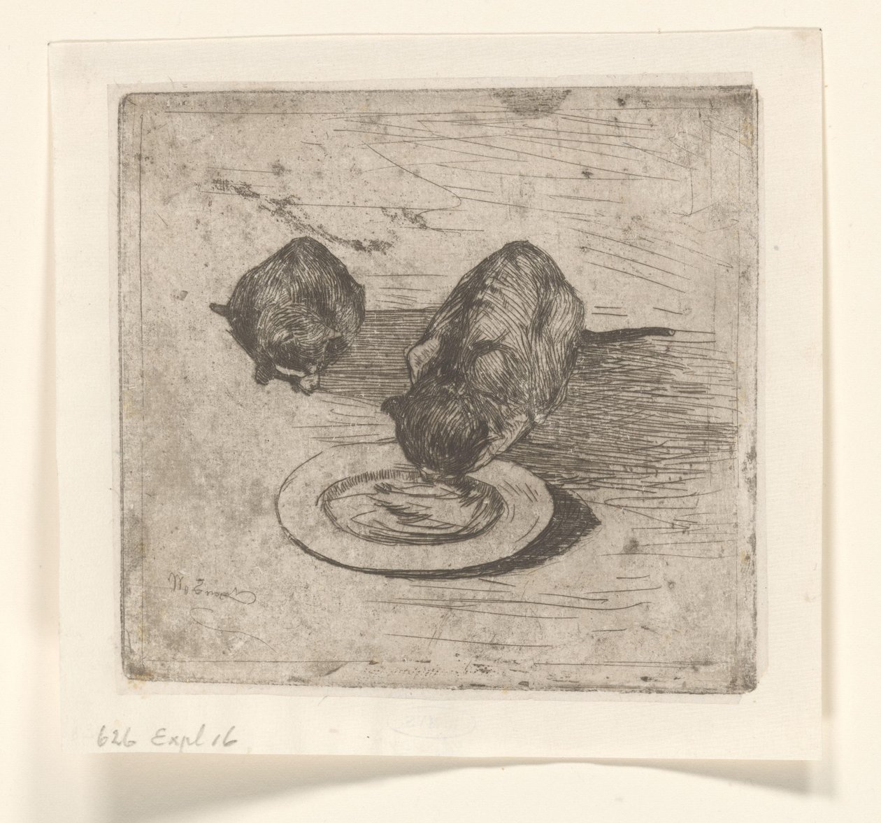 To katter, en drikker fra en tallerken To fitter (original tittel) av Willem de Zwart