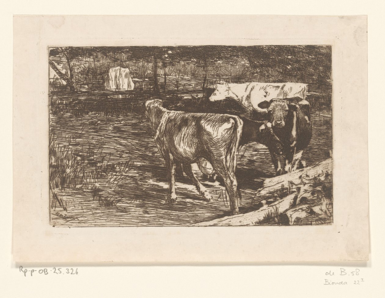 Fire kyr på en eng Milk Bend (original tittel) av Willem de Zwart