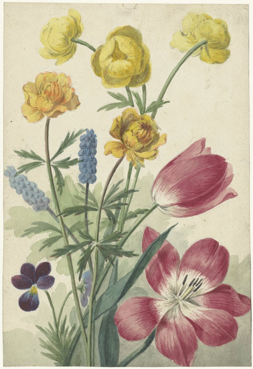 Bukett av tulipaner, fioler, druehyasinter og datters av Willem van Leen