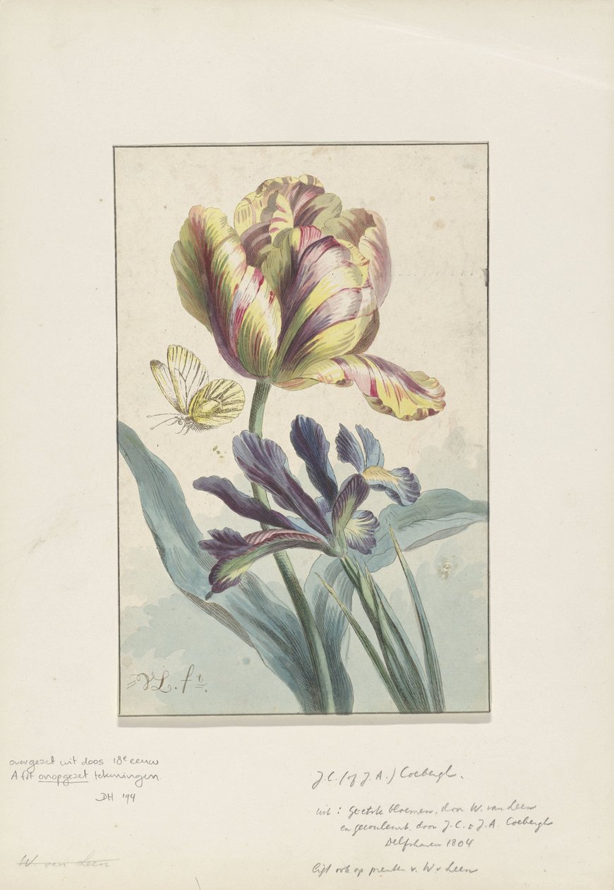 Tulipan og iris av Willem van Leen