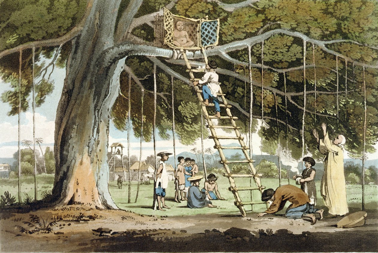 An Offer of First Fruits to the God Fo, plate 16 fra 'A Voyage to Cochinchina' av John Barrow (1764-1848) gravert av Thomas Medland (1755-1823) 1806 (akvatint) av William Alexander