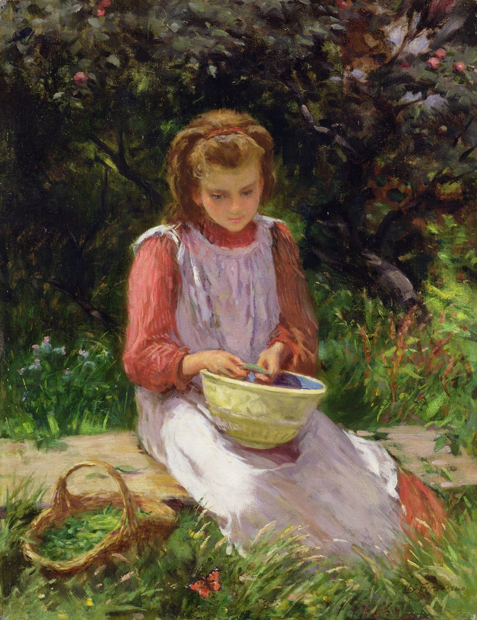 Skalleerter av William Banks Fortescue