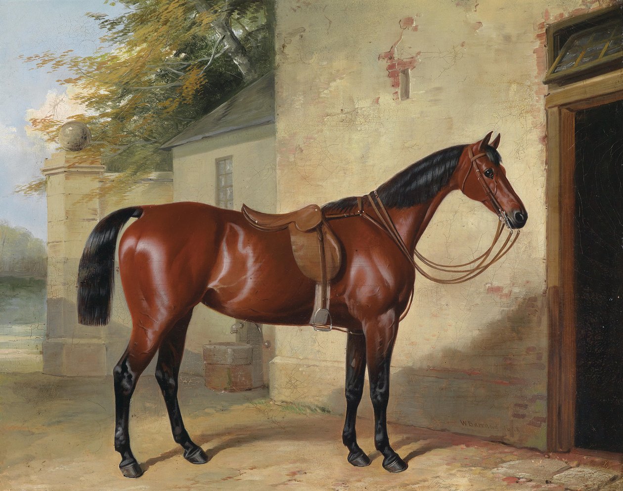 Saddlet bayhest av William Barrand