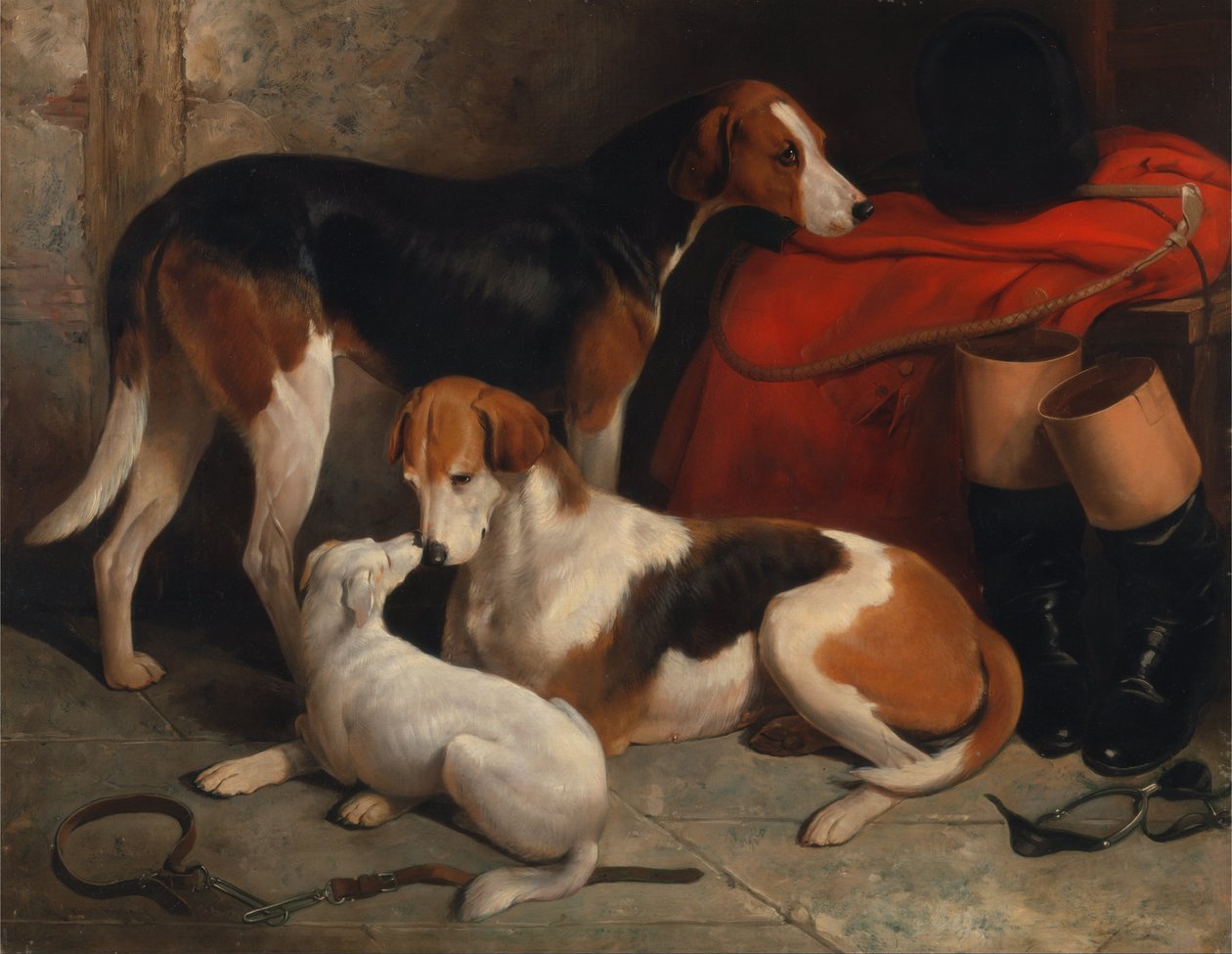 Et par Foxhounds med en terrier, eiendommen til Lord Henry Bentinck av William Barraud