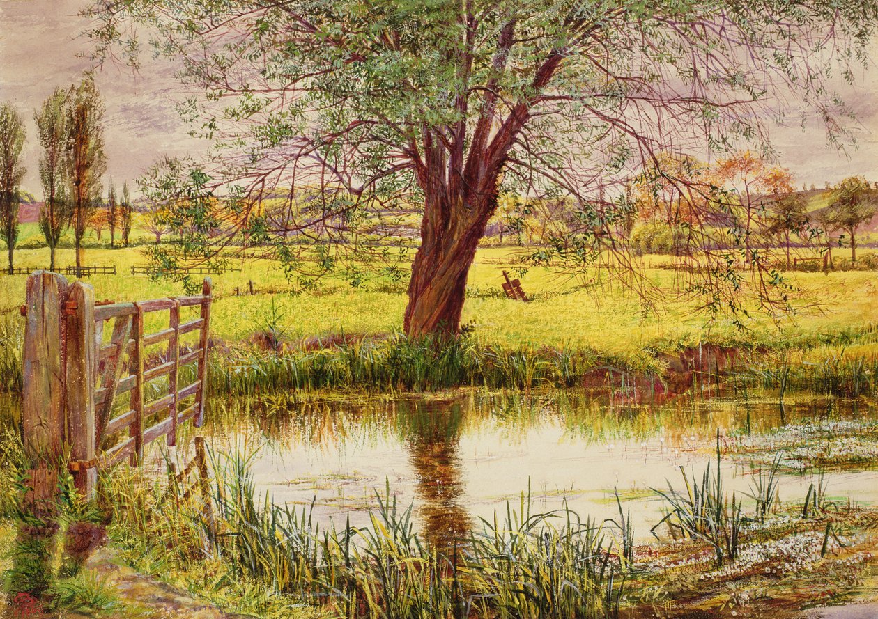 Water Meadow, 1865 av William Bell Scott