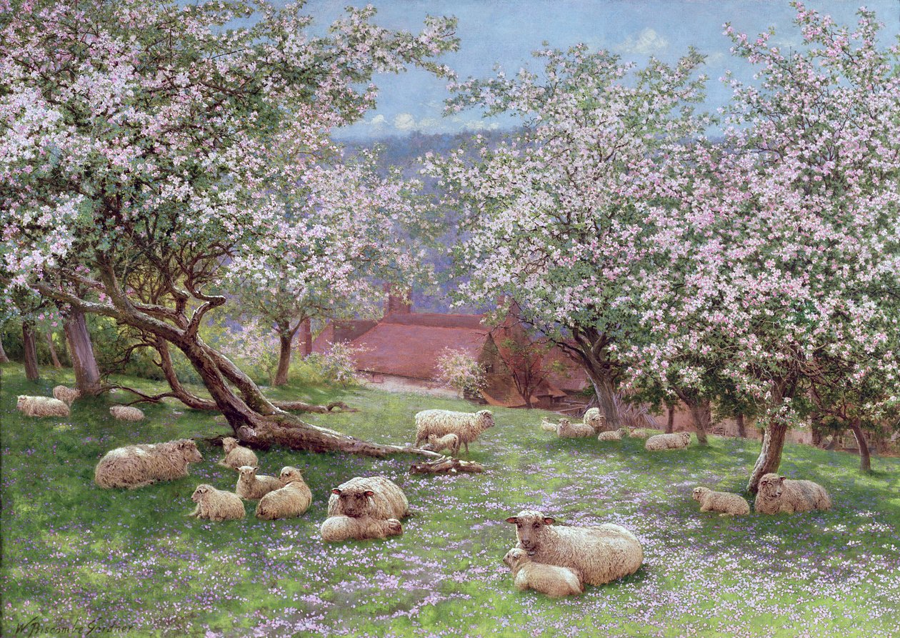 Epleblomst av William Biscombe Gardner