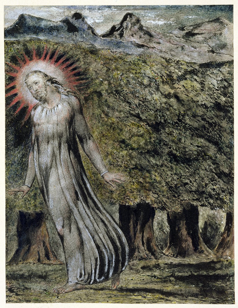 En profet i villmarken (penn og blekk med gouache på papir) av William Blake