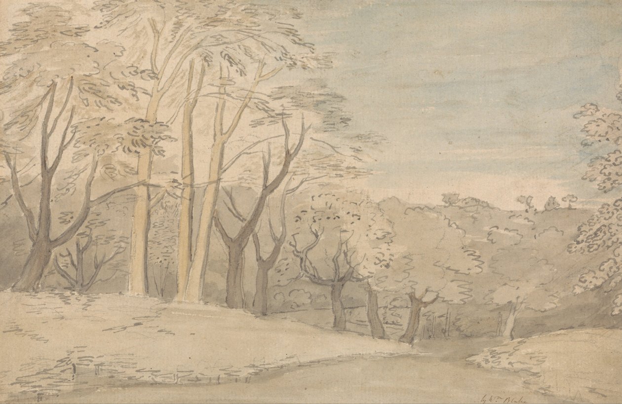 Et treaktig landskap av William Blake