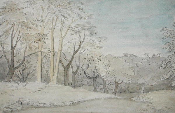 A Woody Landscape, ca. 1801 (wc og grafitt på papir) av William Blake