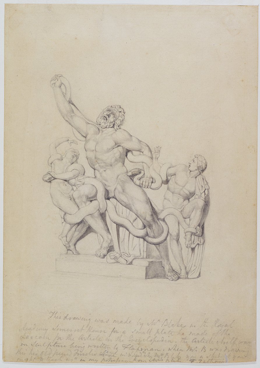 Kopi av Laocoon, for Rees