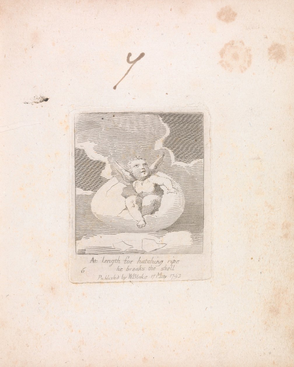 For barn. The Gates of Paradise, Plate 8, Lengst etter klekking av moden bryter han skallet av William Blake