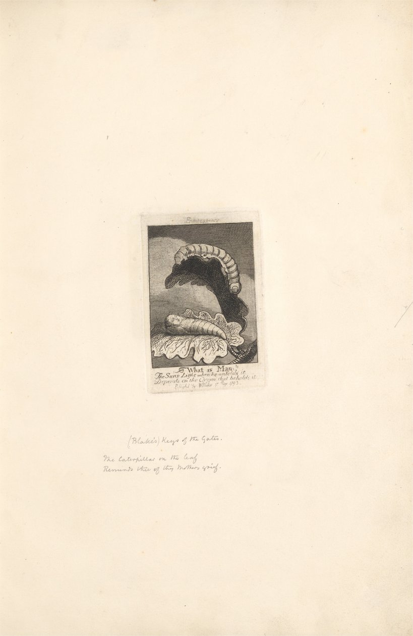 For kjønnene- Paradisets porter, plate 1, tittelside av William Blake