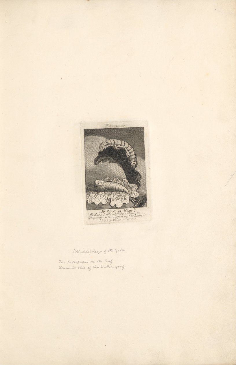 For kjønnene- Paradisets porter, plate 2, Frontispiece, What is Man! av William Blake
