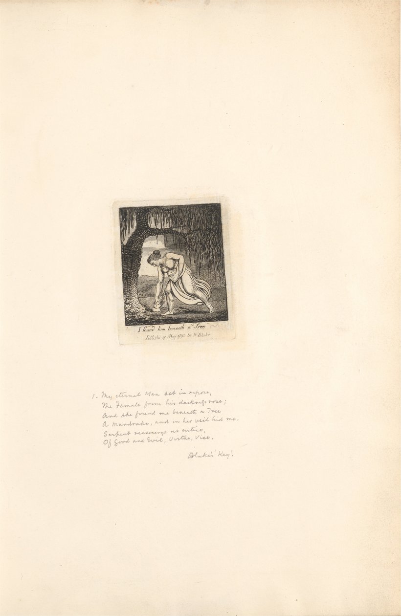 For kjønnene- Paradisets porter, plate 3, fant jeg ham under et tre av William Blake