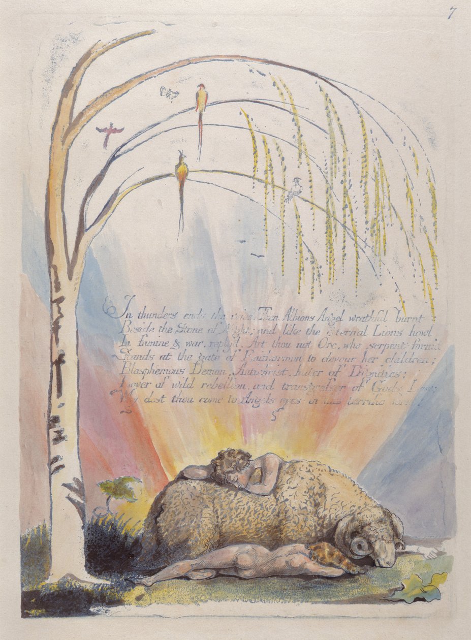 I torden slutter stemmen..., plate 9 fra America: A Prophecy, 1793 (relieff-etsing trykt i blått med penn og blekk og wc) av William Blake