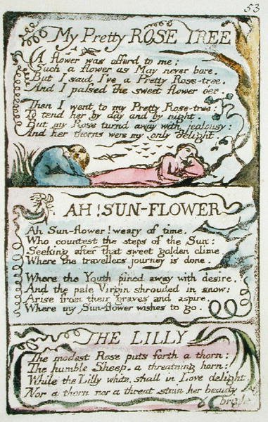My Pretty Rose Tree, plate 53 (Bentley 43) fra The Songs of Innocence and of Experience (Bentley kopi L) 1789-94 (relieff etsing med penn og wc på papir) av William Blake